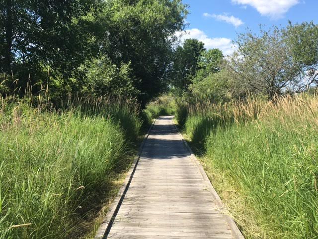 hike trail park July